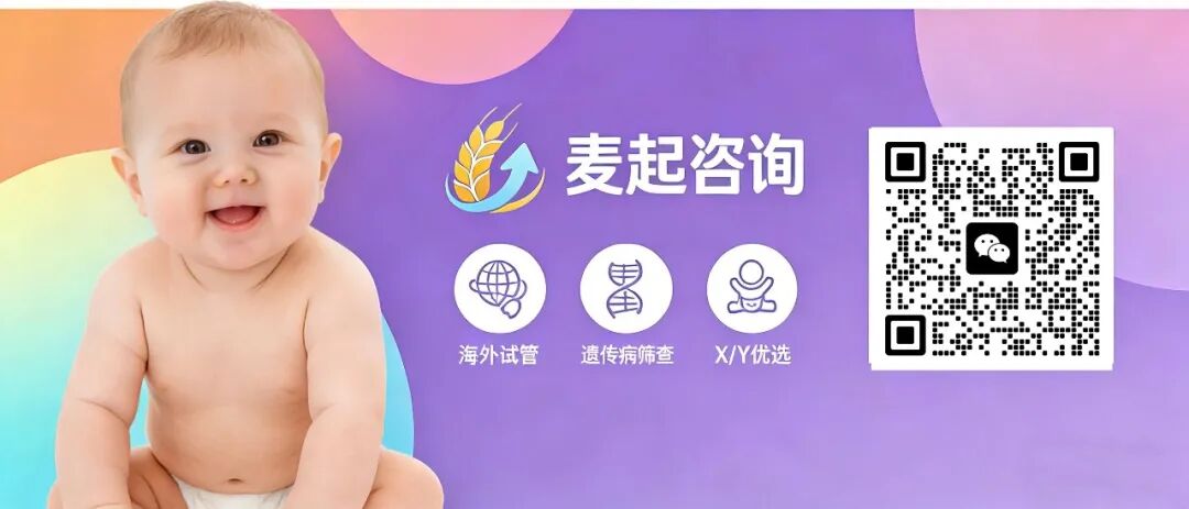 抛开格鲁吉亚后,海外助孕还能选择哪里?吉尔吉斯崛起了(图3)