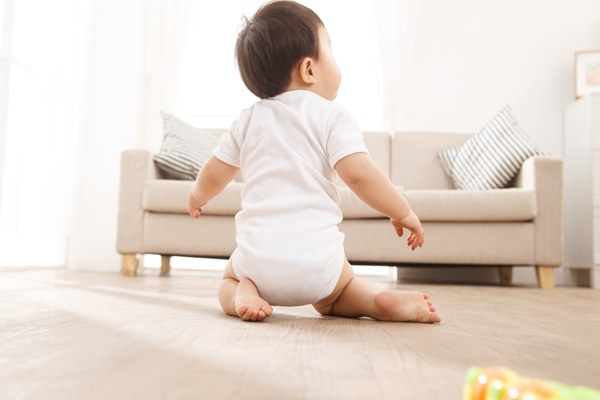 揭秘“斯坦五兄弟”：究竟是亲兄弟还是塑料邻居？(图1)