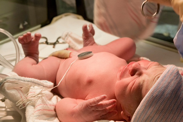 冷冻卵子技术对卵子质量的影响(图3)