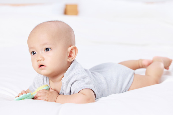 胖爸爸海外辅助生殖数据：最受喜爱的几个宝宝出生年份生肖&现在生马宝还来不来得及？(图1)